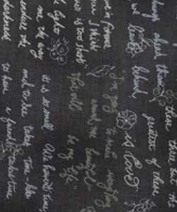 이미지 상세보기 이미지 상세보기